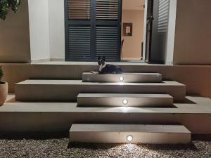 Fotografia z galérie ubytovania Villa Oleana v destinácii Makarska