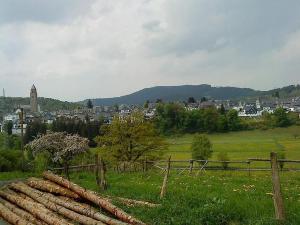 a field with a fence and a town in the background at Ferienwohnung Zur alten Mühle in Schmallenberg