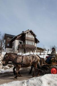 Állatok a villában vagy a közelben