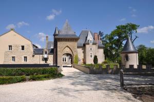 duży zamek z podjazdem przed nim w obiekcie Château Origny de Neuvy w mieście Neuvy