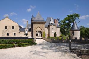 Fotografie z fotogalerie ubytování Château Origny - Moulins v destinaci Neuvy