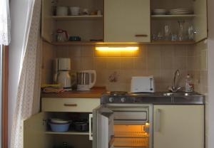 een kleine keuken met een spoelbak en een fornuis bij Gästehaus Schreyer in Oberaudorf