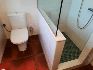 a bathroom with a toilet and a shower at LOFT ROBLE - Chousa Verde in Vegacervera