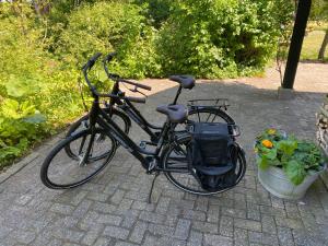 レッケルケルクにあるB&B Lekkerkerkの鉢植えの隣に自転車を停めている