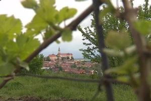 Fotografie z fotogalerie ubytování Apartmán Ubytování De Donawitz - Dolní Dunajovice v destinaci Dolní Dunajovice