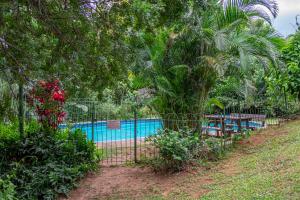 a fence next to a swimming pool with trees at 16 st Johns - Apartment in Port Shepstone