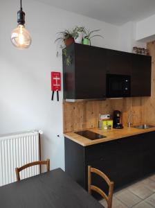Kuchyň nebo kuchyňský kout v ubytování B&B In den Roden Schilt