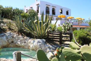 um jardim com cactos e uma casa ao fundo em Albergo"Villa Biscotti" em Peschici