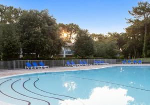 une grande piscine avec des chaises bleues et des arbres dans l'établissement Le Zeste, à Soustons