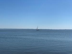 a sail boat in the middle of a large body of water at Butas Prie Marių in Juodkrantė +3 photos