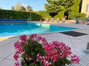 Fotografie z fotogalerie ubytování Hotel Pinocchio v destinaci Gy