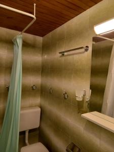 ein Badezimmer mit Toilette und Dusche in der Unterkunft Apartments Joni in Brela + 113 Fotos