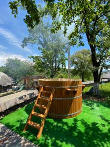 Billede fra billedgalleriet på Popas in Breb i Breb