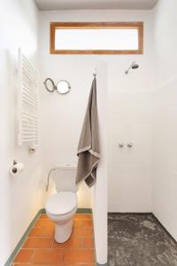 un baño con inodoro y ducha en Apartamento rústico reformado con encanto (Garraf), en Sant Pere de Ribes