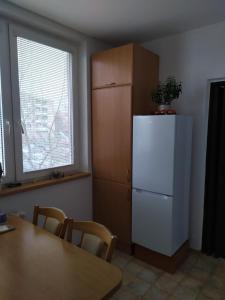 eine Küche mit einem Kühlschrank, einem Tisch und einem Fenster in der Unterkunft Apartmán Jan in Břeclav