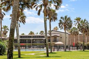 a building with palm trees in front of it at Ground floor beachfront beauty! Steps to the beach and pool in South Padre Island