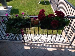A garden outside Oxy Holiday Home