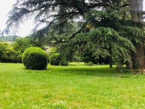 a park with a tree and a bench in the grass at Domaine des Ondes in Millau