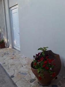 a pot of flowers sitting next to a wall at Marianos Apartments in Kissamos