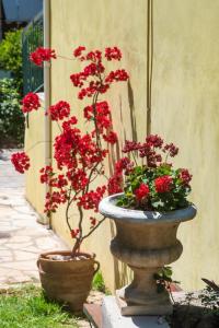 un vaso di pietra con fiori rossi dentro di Spiros Sea View a Nydri