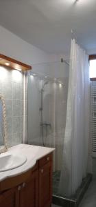 een badkamer met een douche en een wastafel bij Emma vendégház in Sárospatak