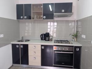 a small kitchen with a stove and a sink at Citadel Residence in Sighişoara