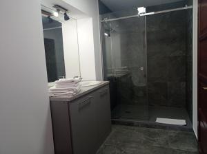 a bathroom with a shower and a sink and a glass shower stall at Citadel Residence in Sighişoara +7 photos