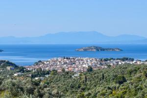 a city on a hill with the ocean in the background at Georgia Villas in Skiathos