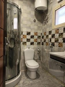 a bathroom with a toilet and a shower and a sink at Seven Gardens Pro in Al Hada