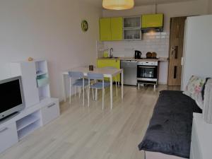 Kuchyň nebo kuchyňský kout v ubytování Falla Apartment Gdańsk