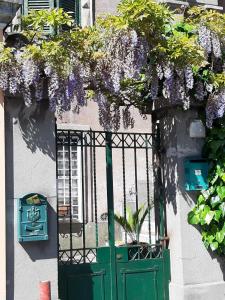 A garden outside OB1 Vacanze Romane