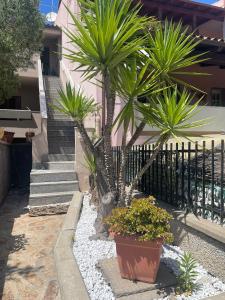 una casa con palme di fronte a una scala di Apartment Civico35 a Olbia