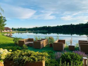 einen Garten mit Sofas vor einem See in der Unterkunft Happy Mammy Bababarát Apartmanház 1 - Hűvös utca in Orosháza