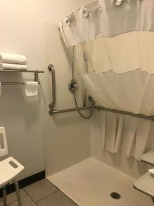 格雷欣戴斯套房酒店的一间浴室