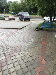 Fotografia z galérie ubytovania Чудова квартирка в Камʼянці -Подільському v destinácii Kamianets-Podilskyi