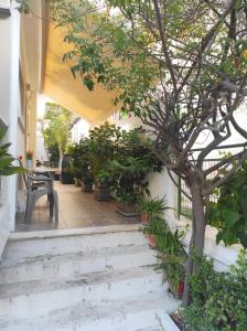 a courtyard with a tree and stairs in a building at Alimos Apartment in Athens