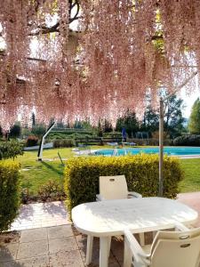 Κήπος έξω από το Agriturismo Ca' Castellani
