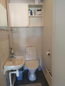 a small bathroom with a toilet and a sink at Huoneisto Villa Kaitera in Kuusamo