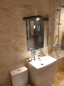 ein Badezimmer mit einem WC, einem Waschbecken und einem Spiegel in der Unterkunft Villa Feniksas in Poškai