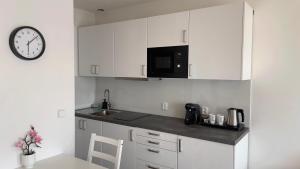 Kuchyň nebo kuchyňský kout v ubytování R&J apartmány
