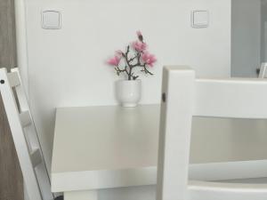 Fotografie z fotogalerie ubytování R&J apartmány v Broumově