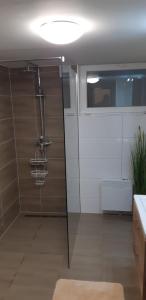 Ванная комната в Chata Sobolice - Všemina