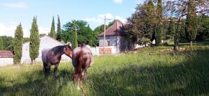 Άλλα ζώα σε αυτή η παραθεριστική κατοικία ή στη γύρω περιοχή