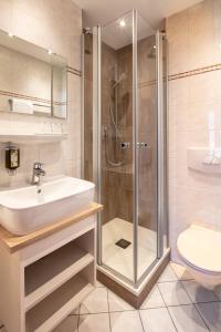 a bathroom with a shower and a sink and a toilet at Hotel Centgraf in Buergstadt