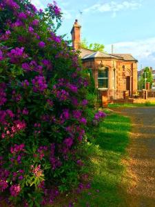 The Lodge House