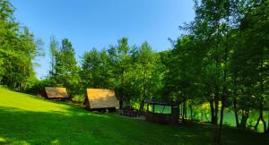 un campo verde con un gruppo di edifici e alberi di Kolibe - Robinson camp Kupa a Netretić