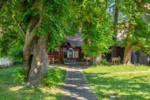 Zahrada ubytování Hotel Centgraf