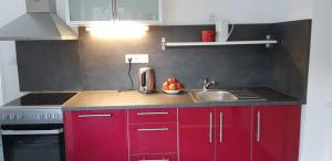 Kuchyň nebo kuchyňský kout v ubytování Pension Apartmány Harrachov 288