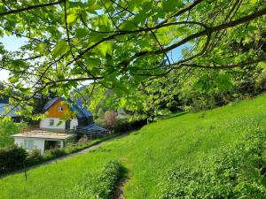 Zahrada ubytování Pension Apartmány Harrachov 288