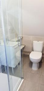 Koupelna v ubytování Pension Apartmány Harrachov 288
